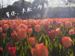 -上海鲜花港