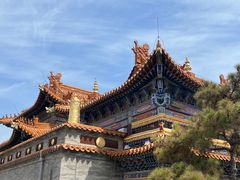 -大召无量寺