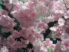 -学习谷日语培训日本留学·多语种外语教学(海淀人大分部)