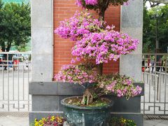 -华辉拉肠(宝华店)