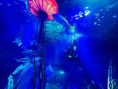 -沈阳海洋探索中心