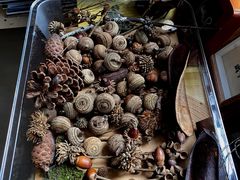 -南宁良凤江国家森林公园