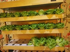 -满堂欢豆捞坊(美丽华大酒店店)
