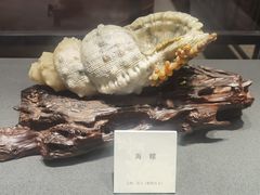 -大连自然博物馆