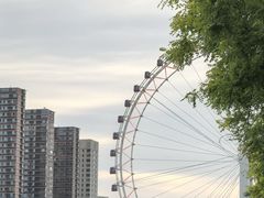 -海河游船-永乐码头(大悲院)