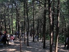 -青州市云门山风景区