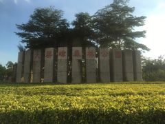 景点-大屏嶂森林公园