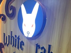 -白兔子密室(长寿路店)