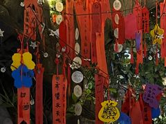 -不曾在把把烧•烧烤(莲坂磐基店)