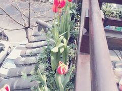android_upload_pic-龙井壹号·茶缘山景宴(龙井村店)