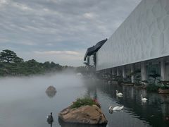 -罗红摄影艺术馆