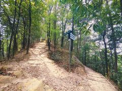 -南山植物园