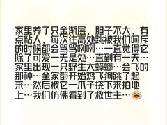 -大华锦绣华城四街坊