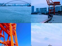 -上海滨江森林公园