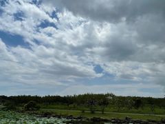 -上海海湾国家森林公园