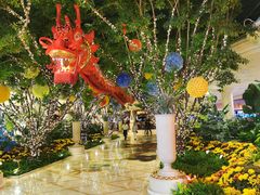 -拉斯维加斯永利酒店