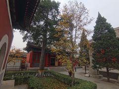 -北京艺术博物馆(万寿寺)