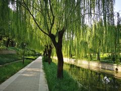 -元大都城垣遗址公园