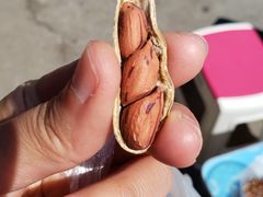 -瑞丽独树成林风景区