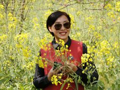 -南汇桃花村