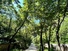 -湖洞水自然风景区