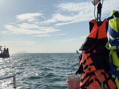 -小猫钓鱼海钓俱乐部(椰梦长廊店)