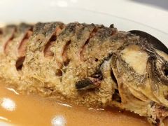 -阿庄新豫菜(航海东路店)