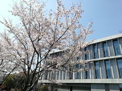 教学楼-中共上海市委党校 上海行政学院