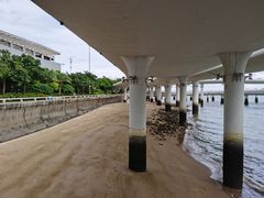 -演武大桥观景平台