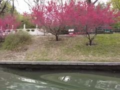 -皇家御河游(紫御湾码头)