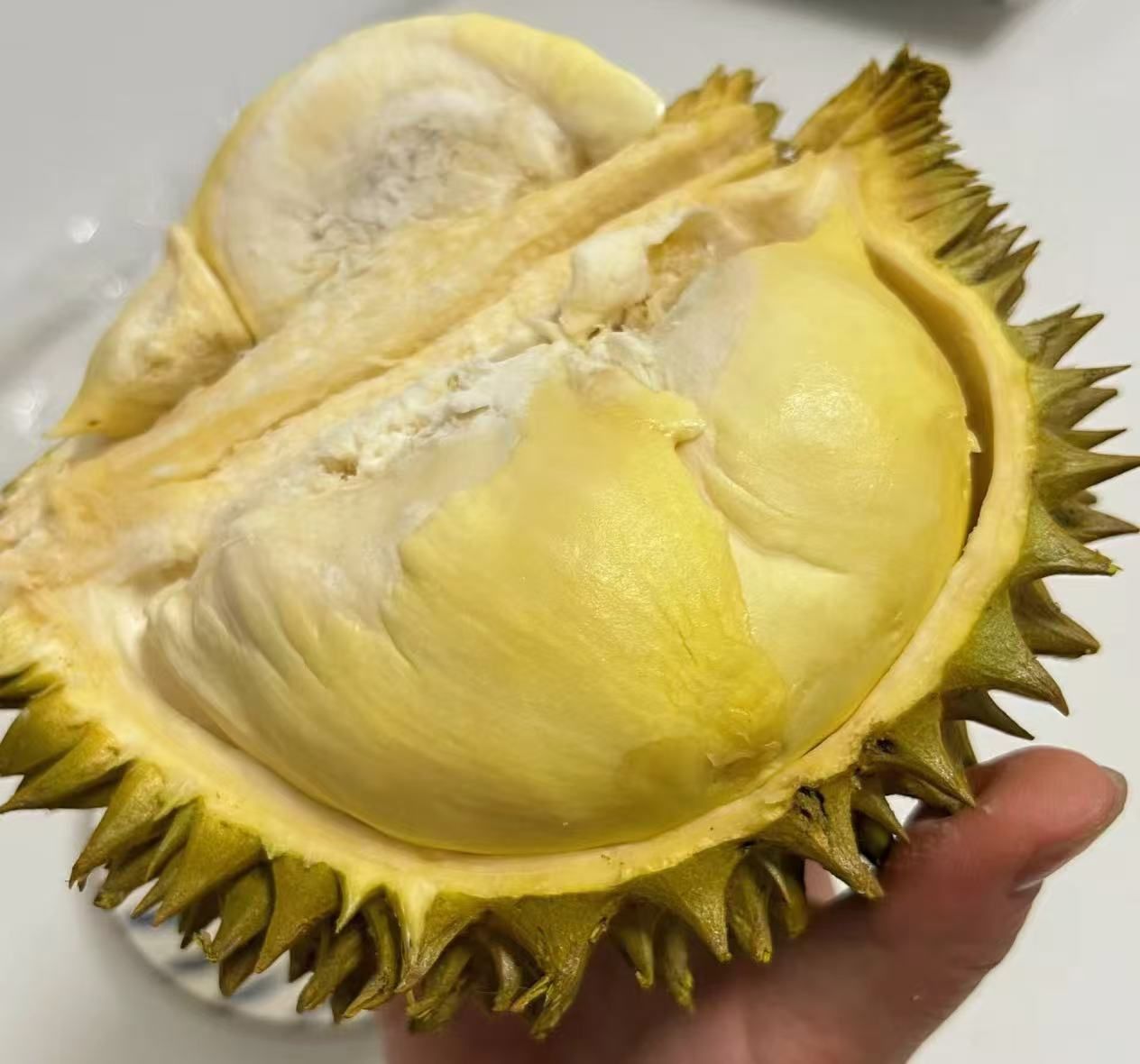 68一个巴掌榴莲