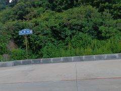 -大鹿岛