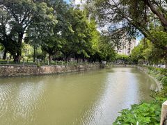 -晓港公园
