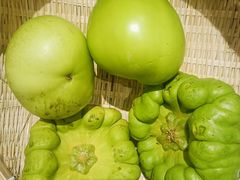 -毛家饭店·30年融合新湘菜(无影山店)