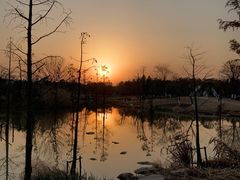 -上海长兴岛郊野公园