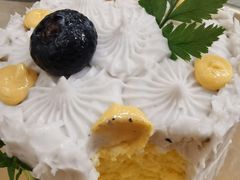 -野草莓自由市场