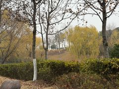 -江滩湿地公园