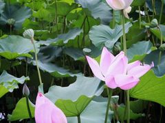 iphone_upload_pic-意大利农场度假村