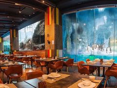 大堂-帝企鹅自助餐厅•儿童岛•真企鹅(长隆企鹅酒店)