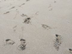 -枸杞岛