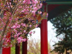 -终南山古楼观历史文化景区