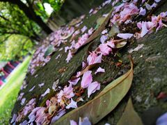-水镜庄风景区