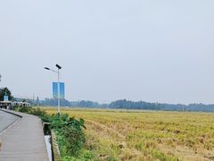 -桤木河湿地公园