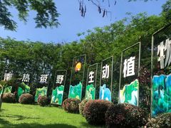 -海南热带野生动植物园
