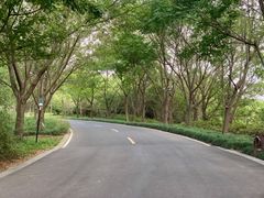-同里国家湿地公园