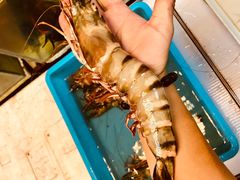 -ZF Seafood Restaurant 卓峰海鲜餐