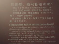 -九曜山