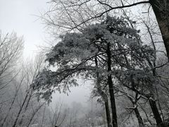 -终南山国家森林公园