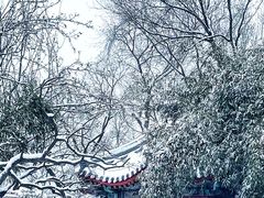 -恭王府博物馆