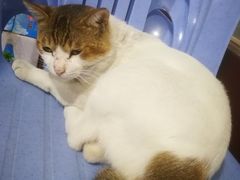 -官塘牛同志牛肉火锅